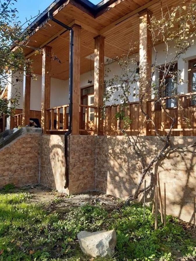 Pensiunea Dodo Patarlagele Dış mekan fotoğraf