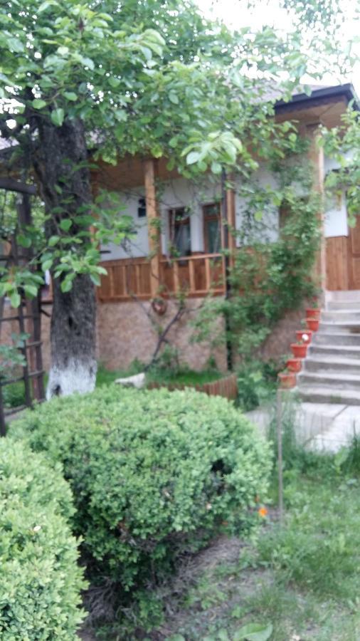 Pensiunea Dodo Patarlagele Dış mekan fotoğraf