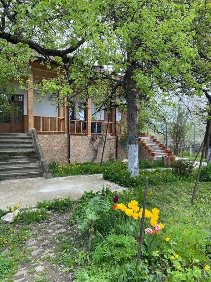 Pensiunea Dodo Patarlagele Dış mekan fotoğraf